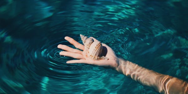 Llevando una concha en la mano en el mar 