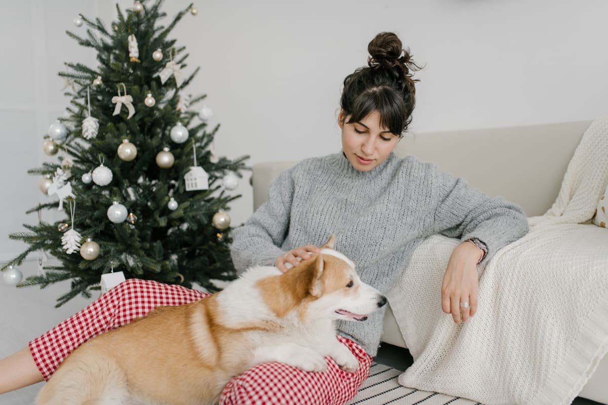 mujer acariciendo un perro al lado de un árbol de Navidad