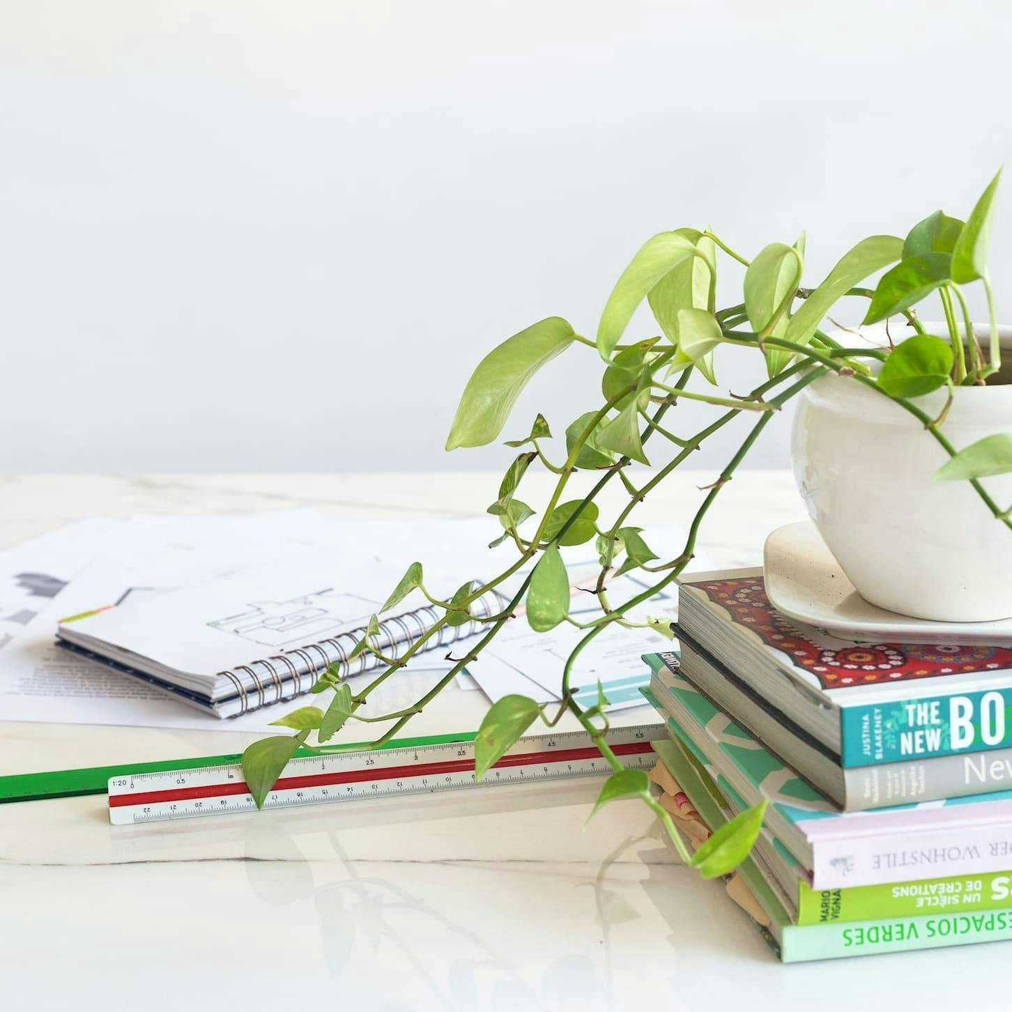 libros, cuaderno, escalimetro, papeles y una planta
